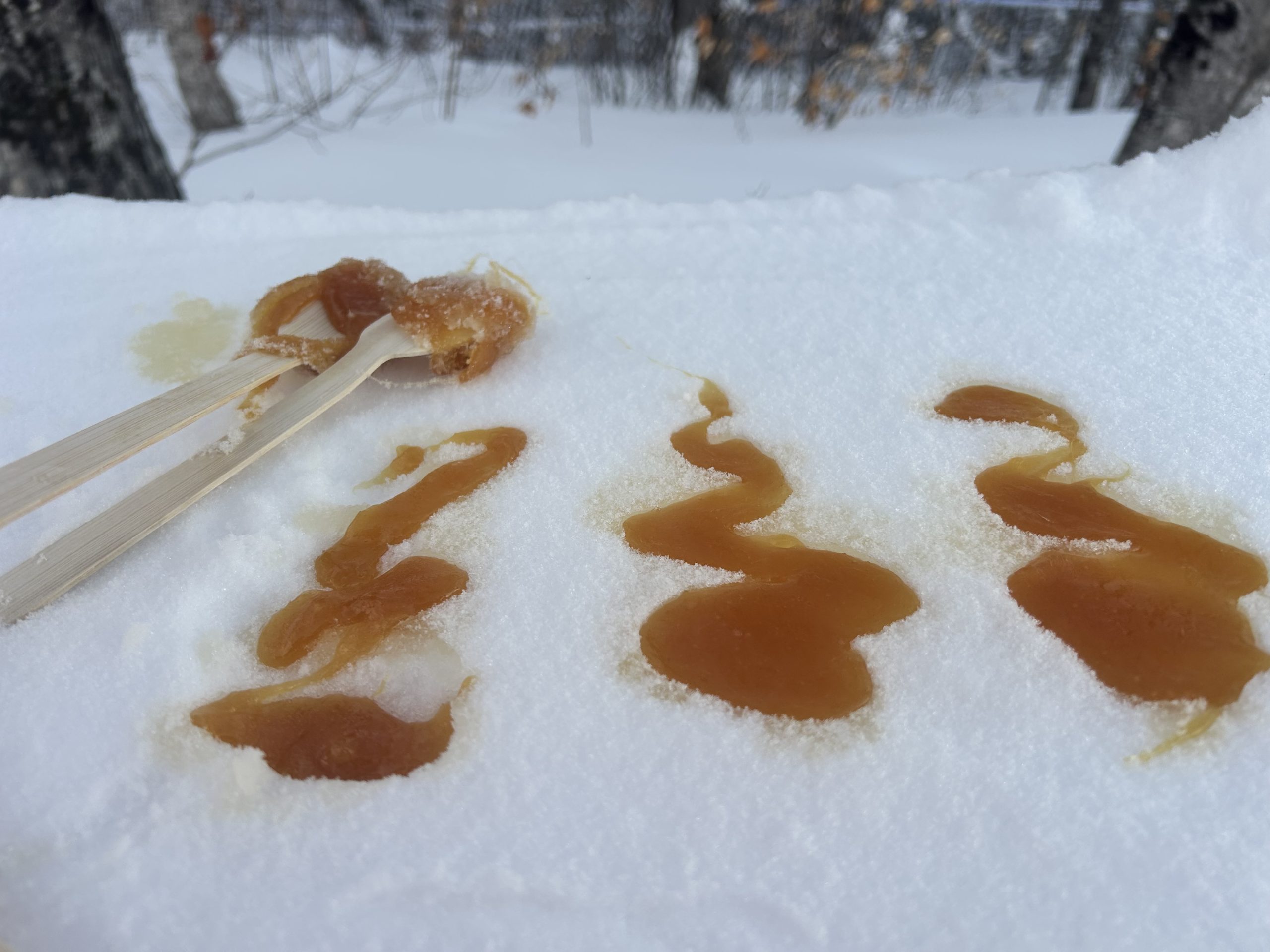 Pure Maine Maple Taffy spread over fresh snow to be rolled up for a sweet treat!