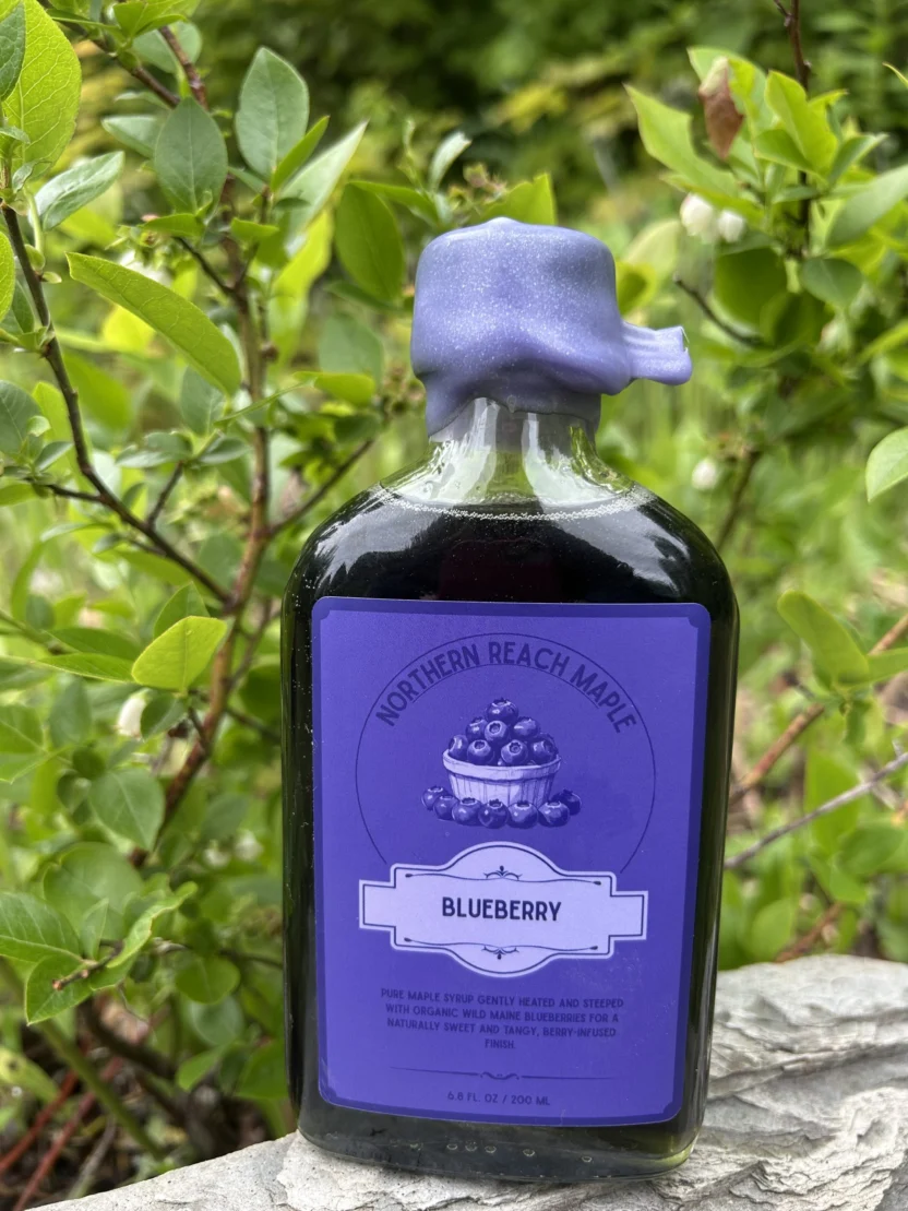 A bottle of blueberry infused maple syrup on a rock in front of a blueberry bush.
