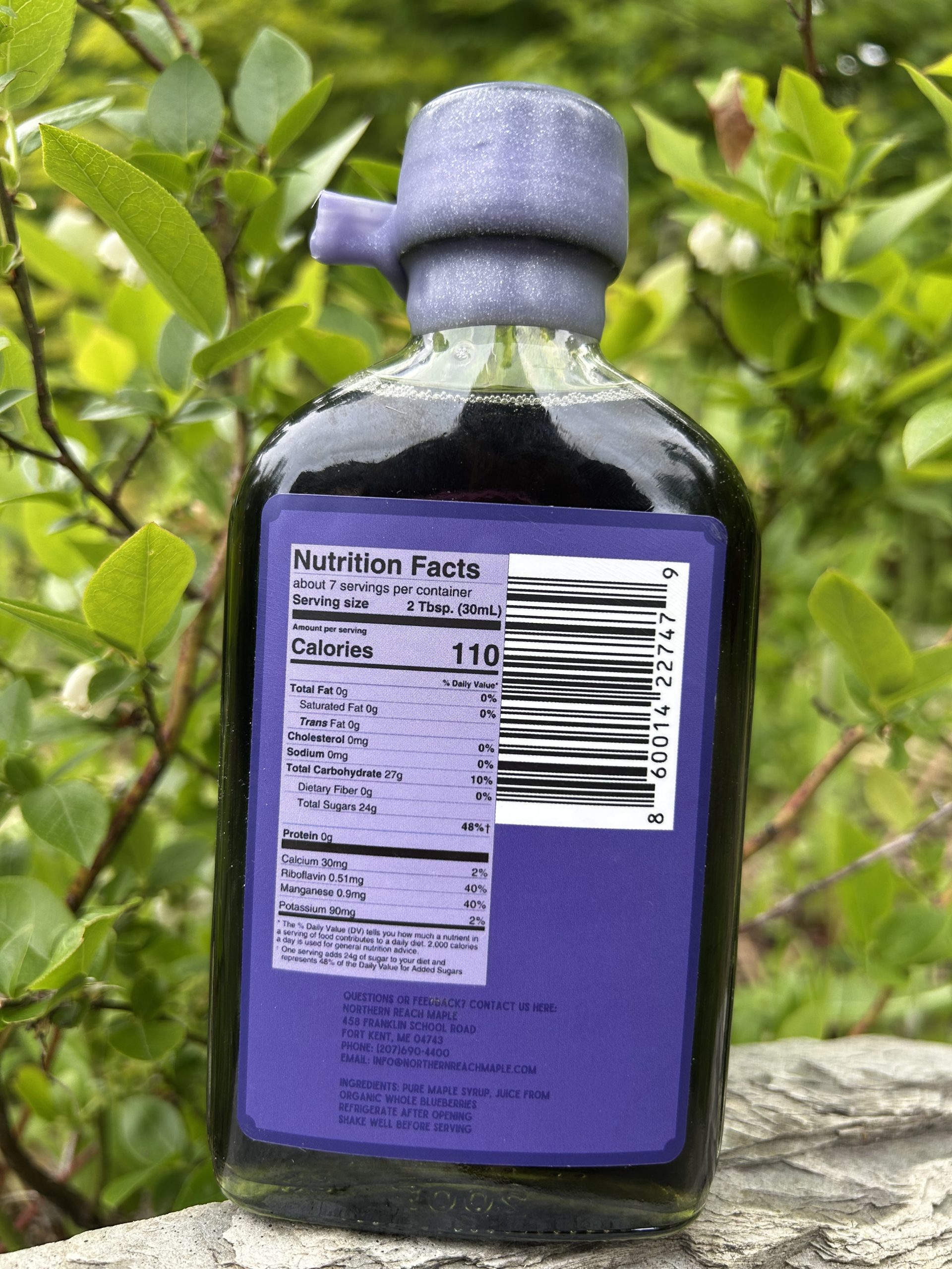The back of bottle of Blueberry Infused Maple Syrup in front of a high-bush blueberry.