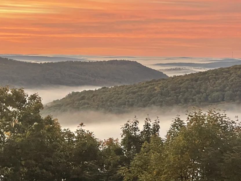 Fog rolling off the mountains near Northern Reach Maple